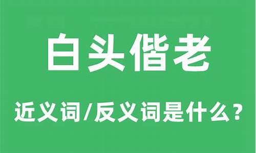 白头偕老的意思是什么-白头偕老什么意思?