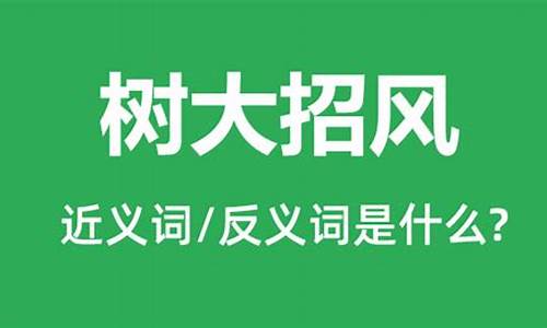 树大招风下一句的谚语是什么-树大招风的意思是什么意思