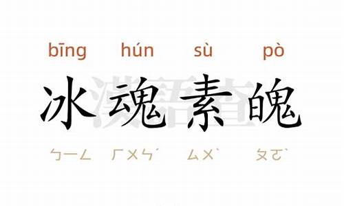 冰魂素魂的意思-冰魂素魄是什么生肖动物