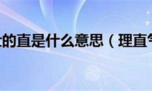 理直气壮的意思的直是什么意思-理直气壮的意思