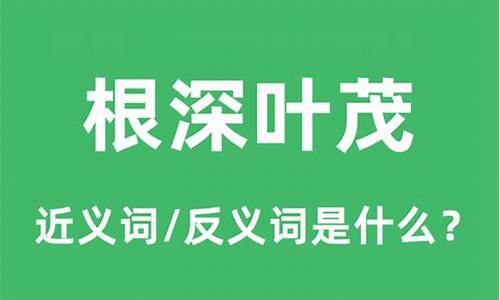 根深叶茂是什么意思-根深叶茂什么意思啊