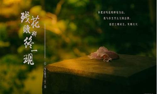 败柳残花过百峦是什么意思-败柳残花