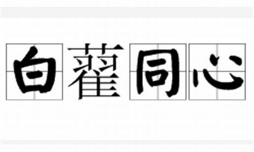 白藋同心-白藋同心荒野银针收藏12年文案