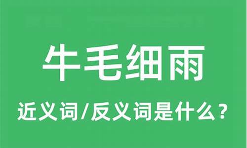 牛毛细雨照样子写词语-牛毛细雨的反义词