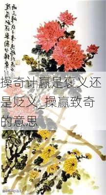 操奇计赢是褒义还是贬义_操赢致奇的意思