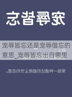 宠辱皆忘还是宠辱偕忘的意思_宠辱皆忘出自哪里