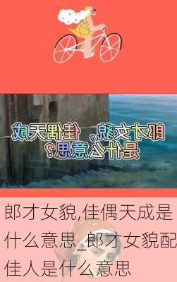 郎才女貌,佳偶天成是什么意思_郎才女貌配佳人是什么意思