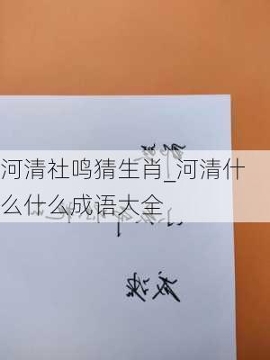 河清社鸣猜生肖_河清什么什么成语大全