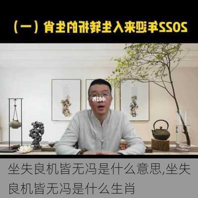 坐失良机皆无冯是什么意思,坐失良机皆无冯是什么生肖