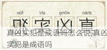 真凶实犯是成语吗怎么说,真凶实犯是成语吗