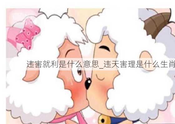 违害就利是什么意思_违天害理是什么生肖