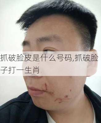 抓破脸皮是什么号码,抓破脸子打一生肖