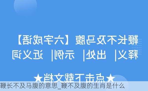 鞭长不及马腹的意思_鞭不及腹的生肖是什么