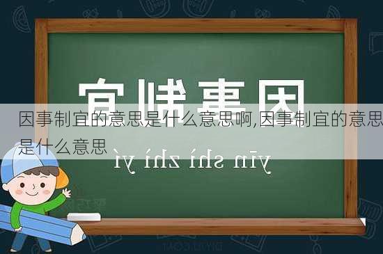 因事制宜的意思是什么意思啊,因事制宜的意思是什么意思