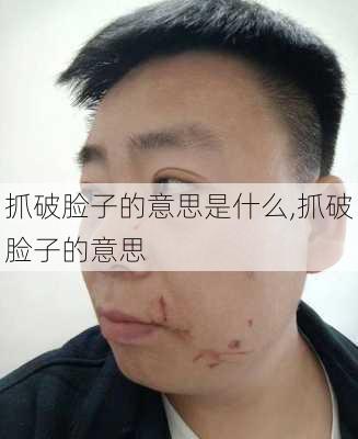 抓破脸子的意思是什么,抓破脸子的意思