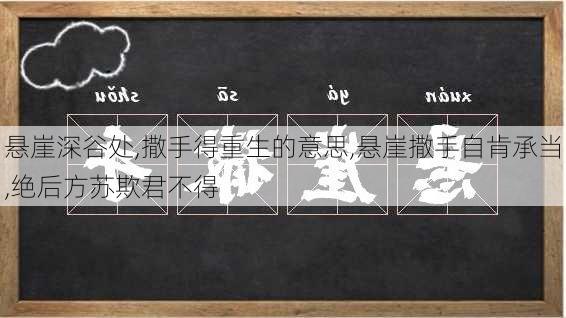 悬崖深谷处,撒手得重生的意思,悬崖撒手自肯承当,绝后方苏欺君不得