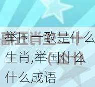 举国一致是什么生肖,举国什么什么成语