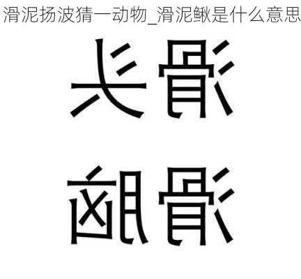 滑泥扬波猜一动物_滑泥鳅是什么意思