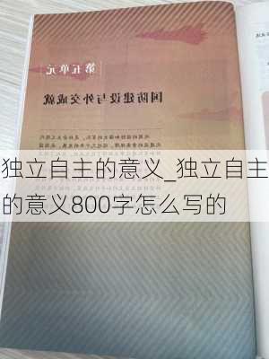 独立自主的意义_独立自主的意义800字怎么写的