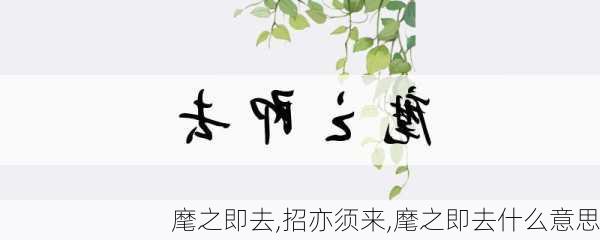 麾之即去,招亦须来,麾之即去什么意思