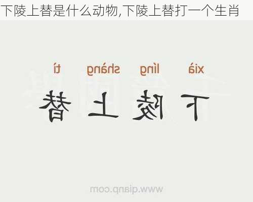 下陵上替是什么动物,下陵上替打一个生肖