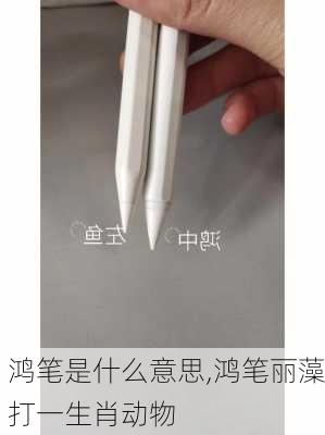 鸿笔是什么意思,鸿笔丽藻打一生肖动物