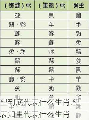 望到底代表什么生肖,望表知里代表什么生肖