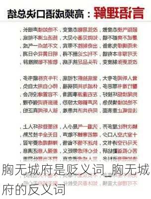 胸无城府是贬义词_胸无城府的反义词