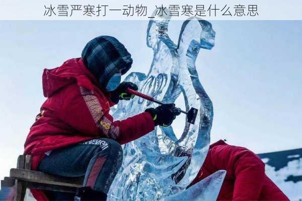 冰雪严寒打一动物_冰雪寒是什么意思