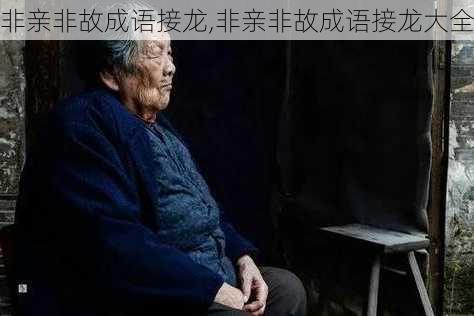 非亲非故成语接龙,非亲非故成语接龙大全