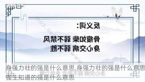 身强力壮的强是什么意思,身强力壮的强是什么意思强生知道的强是什么意思