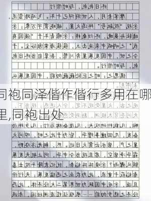 同袍同泽偕作偕行多用在哪里,同袍出处