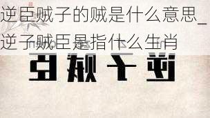 逆臣贼子的贼是什么意思_逆子贼臣是指什么生肖