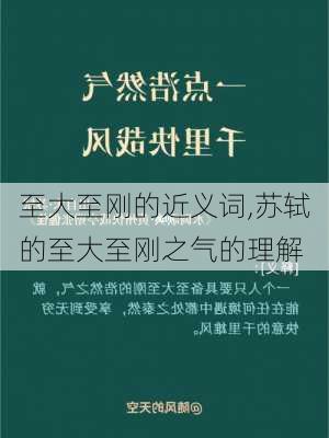 至大至刚的近义词,苏轼的至大至刚之气的理解