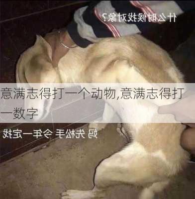 意满志得打一个动物,意满志得打一数字