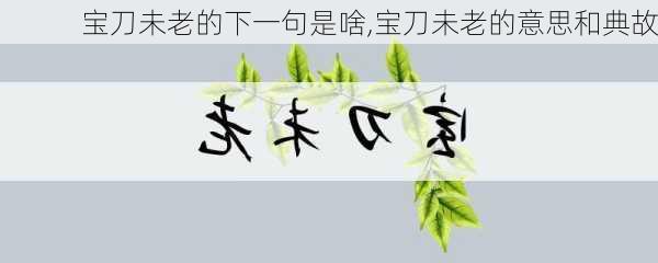 宝刀未老的下一句是啥,宝刀未老的意思和典故