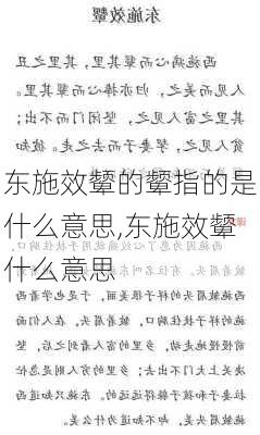 东施效颦的颦指的是什么意思,东施效颦什么意思