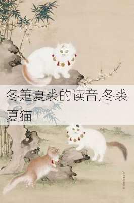 冬箑夏裘的读音,冬裘夏猫