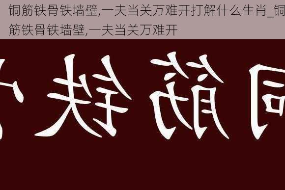 铜筋铁骨铁墙壁,一夫当关万难开打解什么生肖_铜筋铁骨铁墙壁,一夫当关万难开