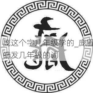 庞这个字几年级学的_庞眉皓发几年级的词