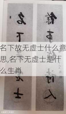 名下故无虚士什么意思,名下无虚士是什么生肖