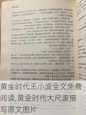 黄金时代王小波全文免费阅读,黄金时代大尺废描写原文图片