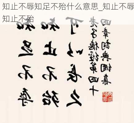 知止不辱知足不殆什么意思_知止不辱知止不殆