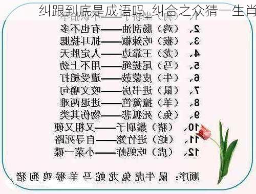 纠跟到底是成语吗_纠合之众猜一生肖