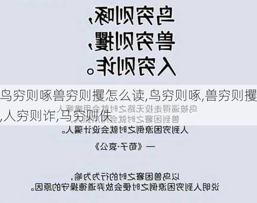 鸟穷则啄兽穷则攫怎么读,鸟穷则啄,兽穷则攫,人穷则诈,马穷则佚