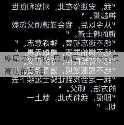 麈尾之诲的意思,麈尾之诲怎就是高明的教诲