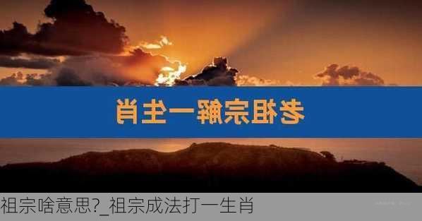 祖宗啥意思?_祖宗成法打一生肖