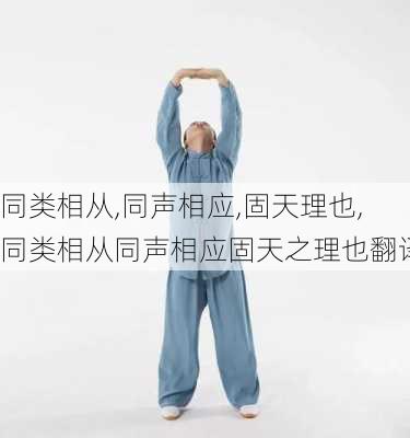 同类相从,同声相应,固天理也,同类相从同声相应固天之理也翻译