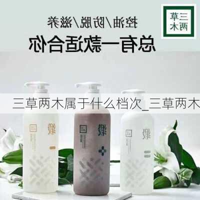 三草两木属于什么档次_三草两木