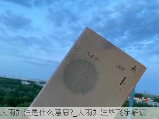 大雨如注是什么意思?_大雨如注毕飞宇解读